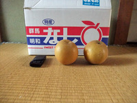 明和梨!!