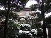 庭に降雪!!