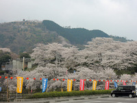 朝霧の戸川ダム!!