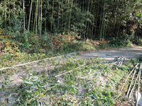 三番街三協観音寺本店