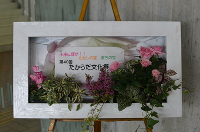 たからだ文化祭!!