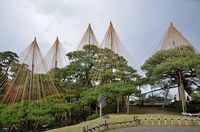 雨の兼六公園!!
