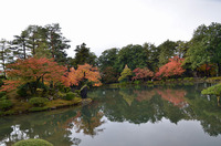 雨の兼六公園!!