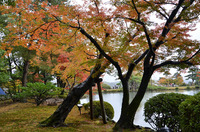 雨の兼六公園!!