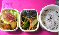 今日のお弁当＋昨日行ったお店