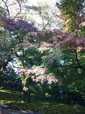 兼六園