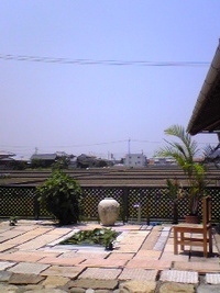2009年06月14日