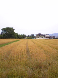 2009年06月21日