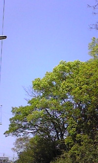 2010年04月29日