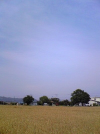 2009年06月05日
