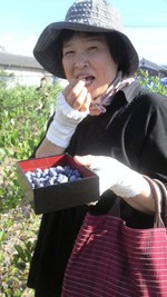 ブルーベリー食べつくした舌
