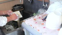 料理のあとの食器洗いも楽しくね