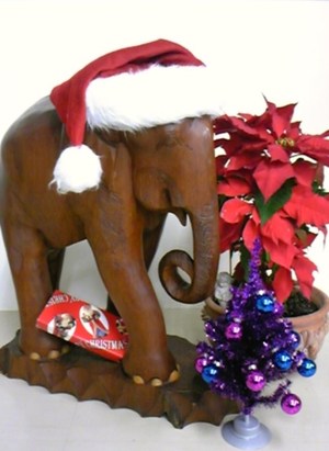 アルテ象もクリスマス