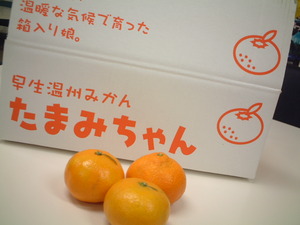 たまみちゃーん