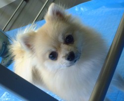 めいちゃん　❤　ちゃちゃちゃん
