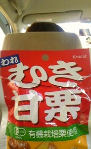 アルテ遠足日記　