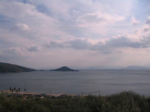小豆島　オリーブ園へ