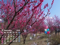 ２月のカレンダー特集(*^_^*)