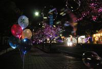 宇多津町　メリ～クリスマスな　撮影＾＾