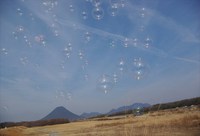 土器川生物公園から飯野山＾＾