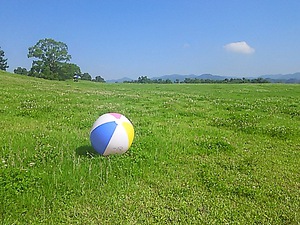 真夏のイメージで(#^.^#)