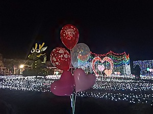 まんのう公園 バレンタインイルミネーション