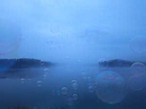 霧で幻想的な公渕池