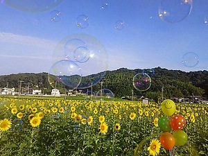 今日も、朝からニコニコ(#^.^#)