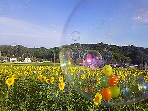 今日も、朝からニコニコ(#^.^#)
