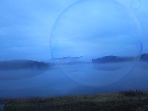 霧で幻想的な公渕池