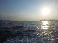 今日は、仕事で豊島