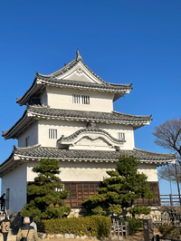 賀正
