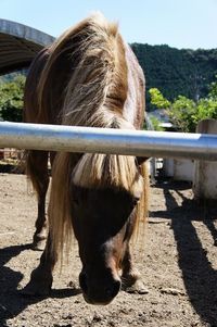 ごめんヨ。怖いわアナタ