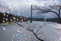 府中湖橋とシャボン玉