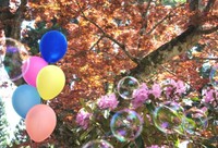 シャクナゲ開花情報～大滝山西照神社
