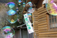 大晦日　今年最後のランキング・・・
