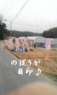 森のいちご下見してきました♪