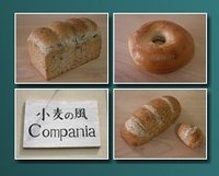 ☆イベント出展者　紹介②☆