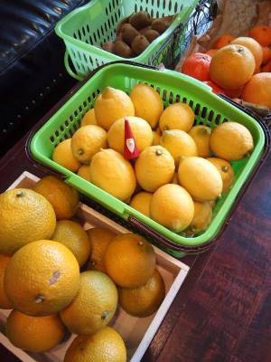 オトナのクリスマスの願い