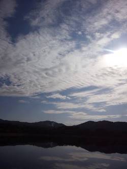 イノシシ！！な夕べに気をつけて！