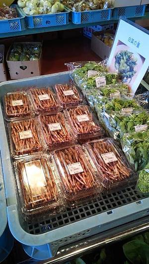 つくし１パック100円の美しさ