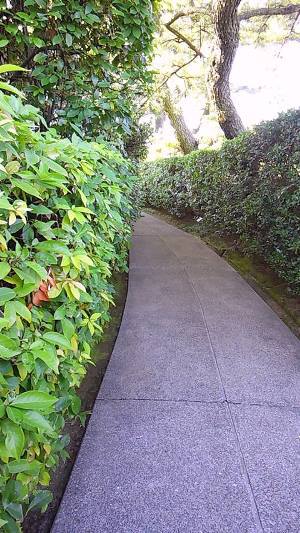 あれれ！中津万象園