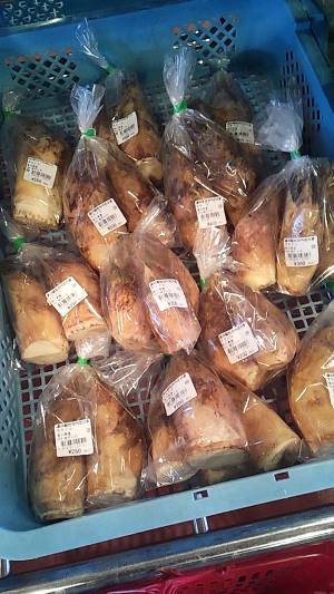 つくし１パック100円の美しさ