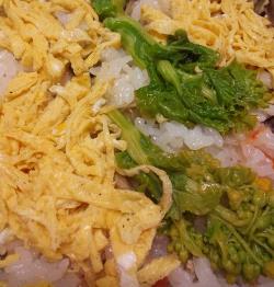 春を感じるタネの話