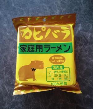 カピバラ来ました～～！