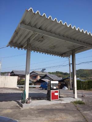 今朝、ランラン行ってきましたよ！
