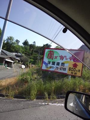 今朝、ランラン行ってきましたよ！
