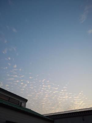実は、今日の私は・・・・・
