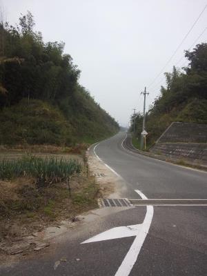 恐怖の坂道を下ると・・・