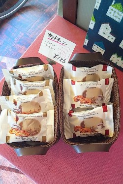 ココが乗りきれない・・・